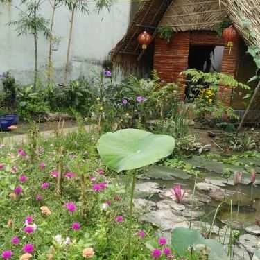 Tổng hợp- Thềm Xưa - Cafe Sân Vườn