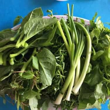 Tổng hợp- Quán Ăn Thuỷ Vân - Đặc Sản Thịt Rắn