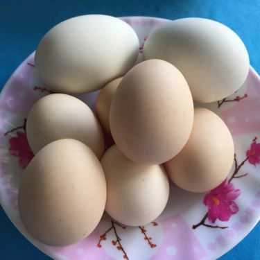 Món ăn- Quán Ăn Thuỷ Vân - Đặc Sản Thịt Rắn