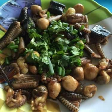 Món ăn- Quán Ăn Thuỷ Vân - Đặc Sản Thịt Rắn