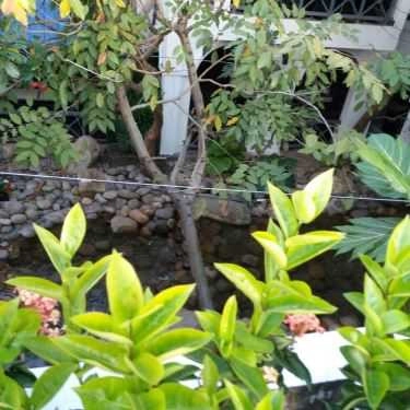 Tổng hợp- Thủy Viên Cafe