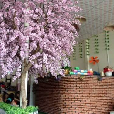 Tổng hợp- Cafe Trà Sữa Doraemon
