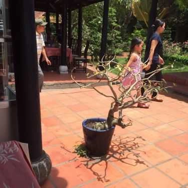 Tổng hợp- Nhà Hàng Trung Lương - Ẩm Thực Việt