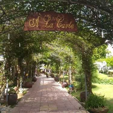 Tổng hợp- Nhà Hàng À La Carte