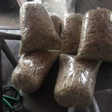 Tổng hợp- Quán Ăn Bánh Canh Bến Có