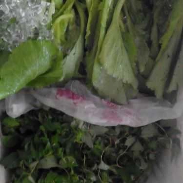 Tổng hợp- Quán Ăn Ngọc Huỳnh - Bánh Khọt