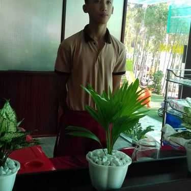 Tổng hợp- Pho Dzu Cafe
