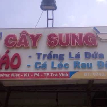 Tổng hợp- Quán Ăn Cháo Trắng Cây Sung