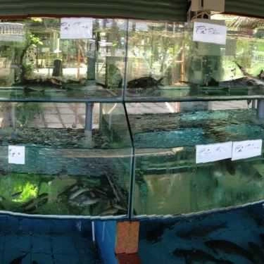 Tổng hợp- Nhà Hàng Khu Du Lịch Sinh Thái Déjà Vu Huỳnh Kha