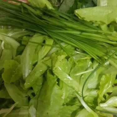 Tổng hợp- Quán Ăn Quán Hồng - Nem Nướng Đa Lộc