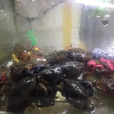 Tổng hợp- Nhà Hàng Thiện 779 - Quán Ăn Gia Đình - Trần Phú