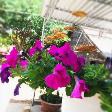 Tổng hợp- Quán Ăn Trang Nhi - Ẩm Thực Sài Gòn