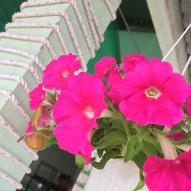 Tổng hợp- Quán Ăn Trang Nhi - Ẩm Thực Sài Gòn