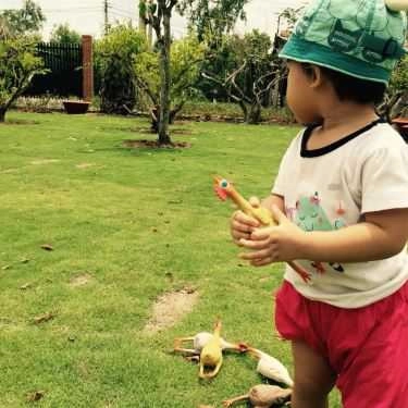 Tổng hợp- Nhà Hàng TreeGarden - Tiệc Nướng BBQ Dã Ngoại