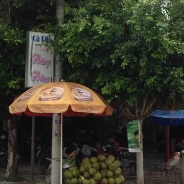Tổng hợp- Băng Băng Cafe