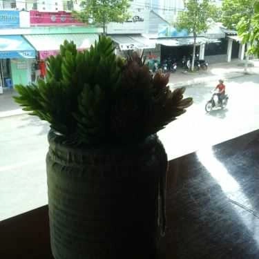 Tổng hợp- Catimo Coffee