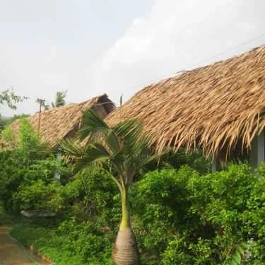 Không gian- Quán Ăn Cháo Gà Hoa Mận