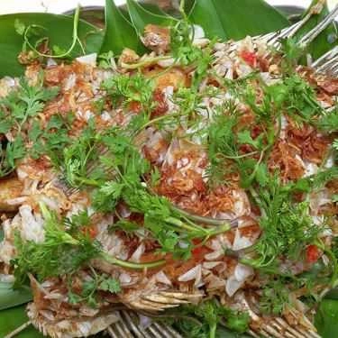 Món ăn- Quán Ăn Cháo Gà Hoa Mận