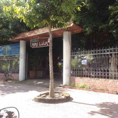 Tổng hợp- Hai Lúa Coffee