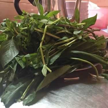 Tổng hợp- Quán Ăn Cơm Chay Thanh Đạm
