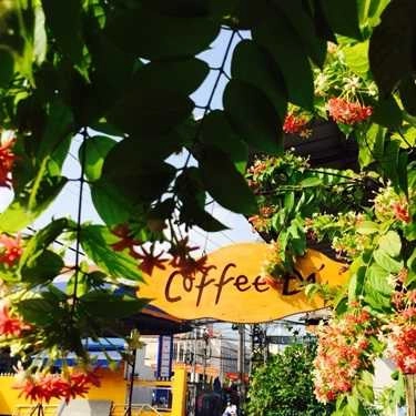 Tổng hợp- Đá Cafe - Xóm Chài