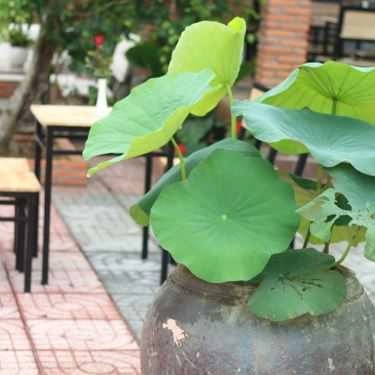 Tổng hợp- Góc Phố Cafe 331