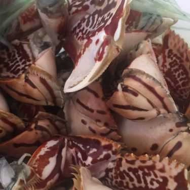 Tổng hợp- Quán Ăn Hải Sản Linh Chi
