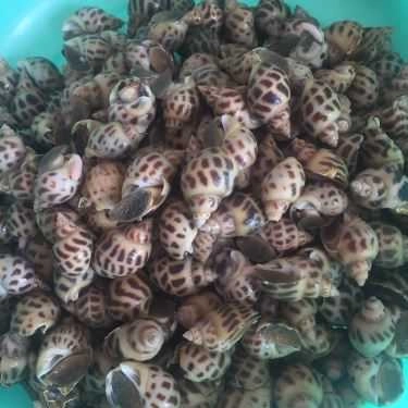 Tổng hợp- Quán Ăn Hải Sản Linh Chi