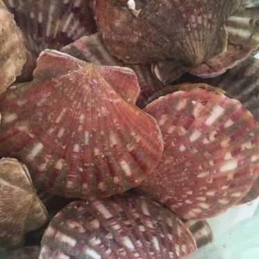 Tổng hợp- Quán Ăn Hải Sản Linh Chi