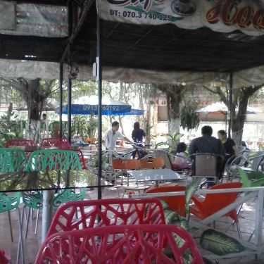 Không gian- Hoa Sứ Cafe