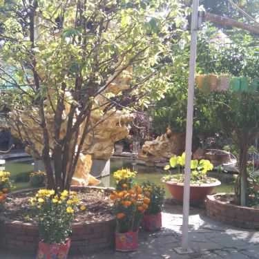 Không gian- Cafe Hoa Viên Club