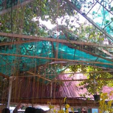 Không gian- Cafe Hoa Viên Club