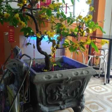 Tổng hợp- Quán Ăn Q.27 - Hủ Tíu & Bò Né