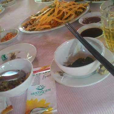 Tổng hợp- Nhà Hàng Hương Sen - Phạm Thái Bường