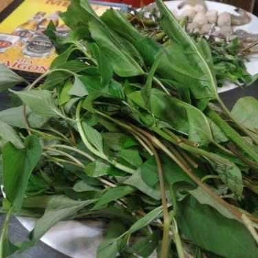 Tổng hợp- Nhà Hàng Huỳnh Giỏi