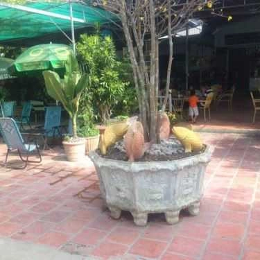 Không gian- Nguyễn Huỳnh Cafe