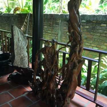 Tổng hợp- Nhà Xưa Coffee - ĐH Phú Lộc