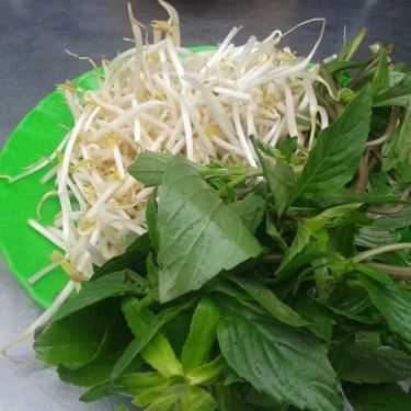 Tổng hợp- Quán Ăn Phở - Bò Kho