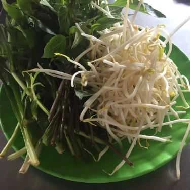 Tổng hợp- Quán Ăn Phở - Bò Kho