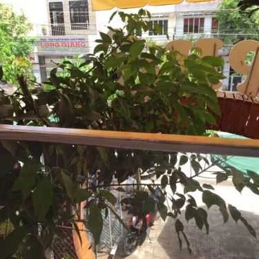 Tổng hợp- Phố Coffee
