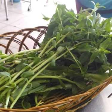 Tổng hợp- Quán Ăn Phở Trưng Vương