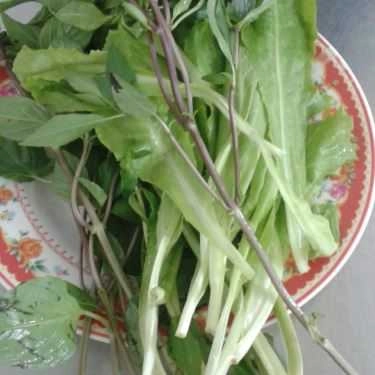 Tổng hợp- Quán Ăn 222