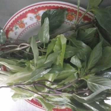 Tổng hợp- Quán Ăn 222