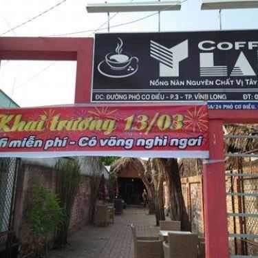 Tổng hợp- Y Lâm Coffee