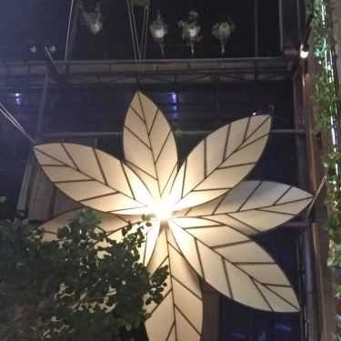 Tổng hợp- Robusta Cafe - Trần Đại Nghĩa