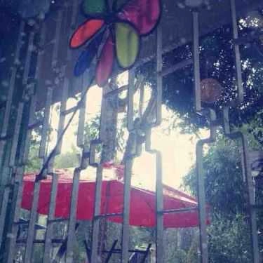 Tổng hợp- Cafe Yogurt Garden