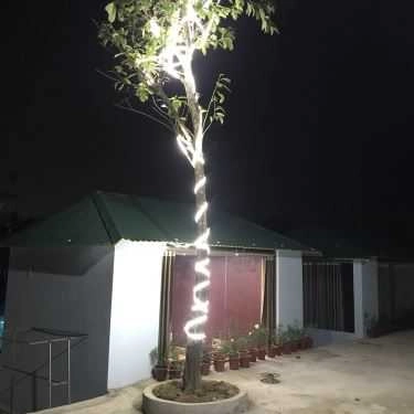 Tổng hợp- Nhà Hàng Thiên Cầm - Đặc Sản Dân Tộc