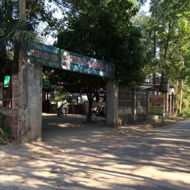 Tổng hợp- Quán Ăn Diệu Anh - Đặc Sản Chim Trời, Gà Đắp Đất và Dê Núi