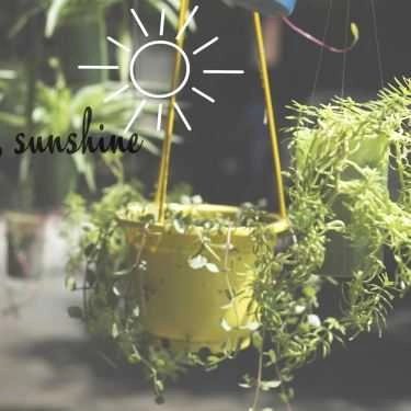 Tổng hợp- Eco Coffee - Học Viện Quân Sự