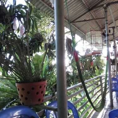Tổng hợp- Quán Ăn Không Gian Quán - Đặc Sản Vùng